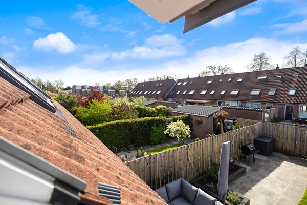 Scholekster 41_36.jpg